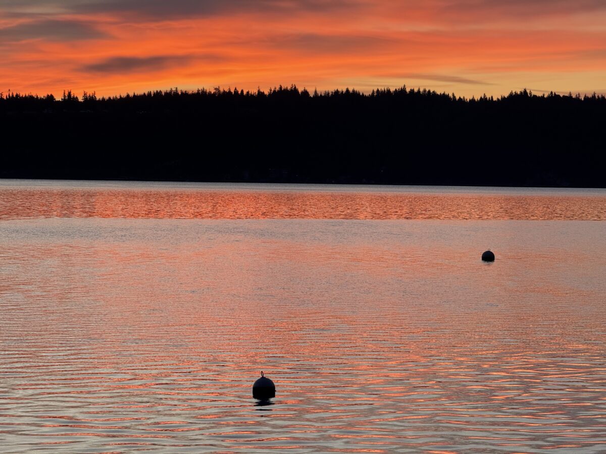 empty nesters sunset